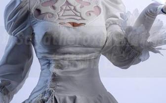 这是一场Sayathefox的魅魔私拍，她说得特别任性